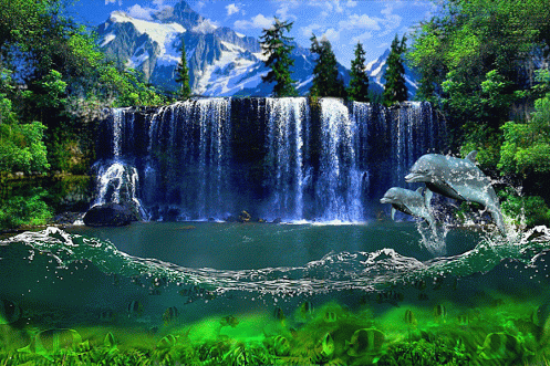 6f051a52c6d9901c01374e77b46e057c_1563161420_5545.gif