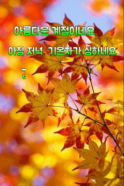 a33c1dbe31905de6eb79dca106b1ad66_1569639631_9874.gif
