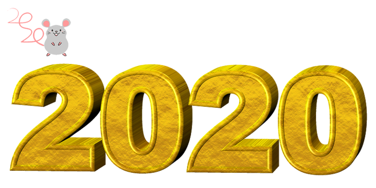 3639700783d429c894bdc6a1c27743e6_1577953215_4999.png