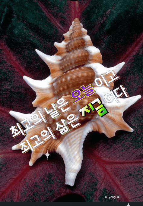 7e38bc9d89a38ac07af9388368fa969a_1592024735_2876.gif