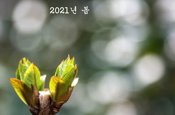 1b442efe2f665ca050db2ad0f39d7389_1614496475_5583.jpg