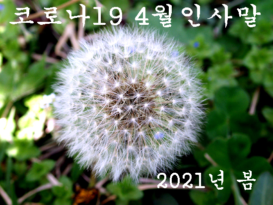 736a87699cab1a28f6c805e2252f0317_1617088674_3323.jpg