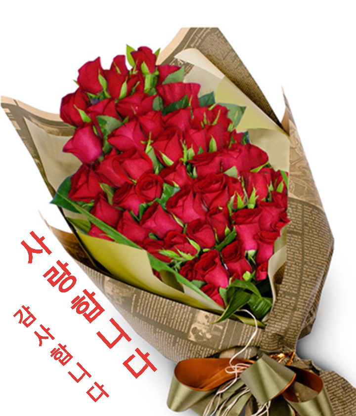 1b8c81ae00e7e4ab3d309c3b848f22e1_1620030514_6825.png