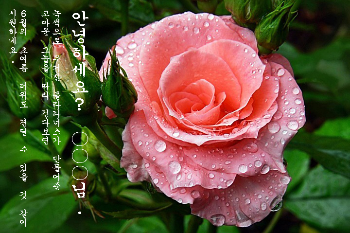 f33eb858ffe86853970f7d262f0fb51d_1622097571_5779.jpg