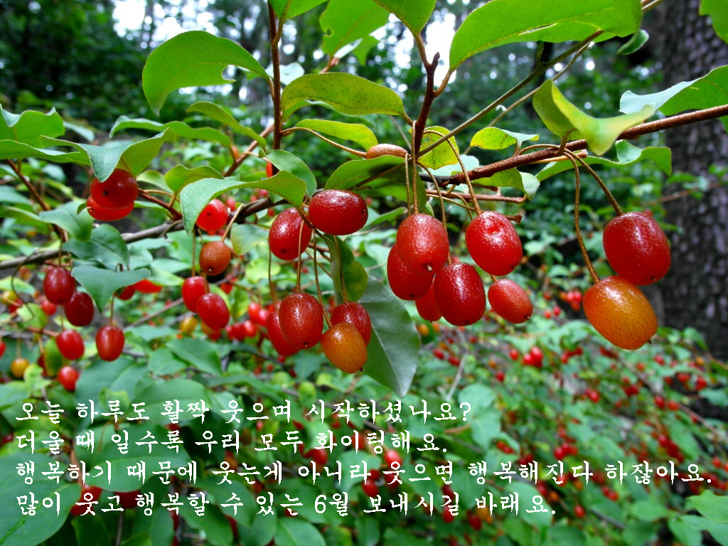 f33eb858ffe86853970f7d262f0fb51d_1622097643_3903.jpg