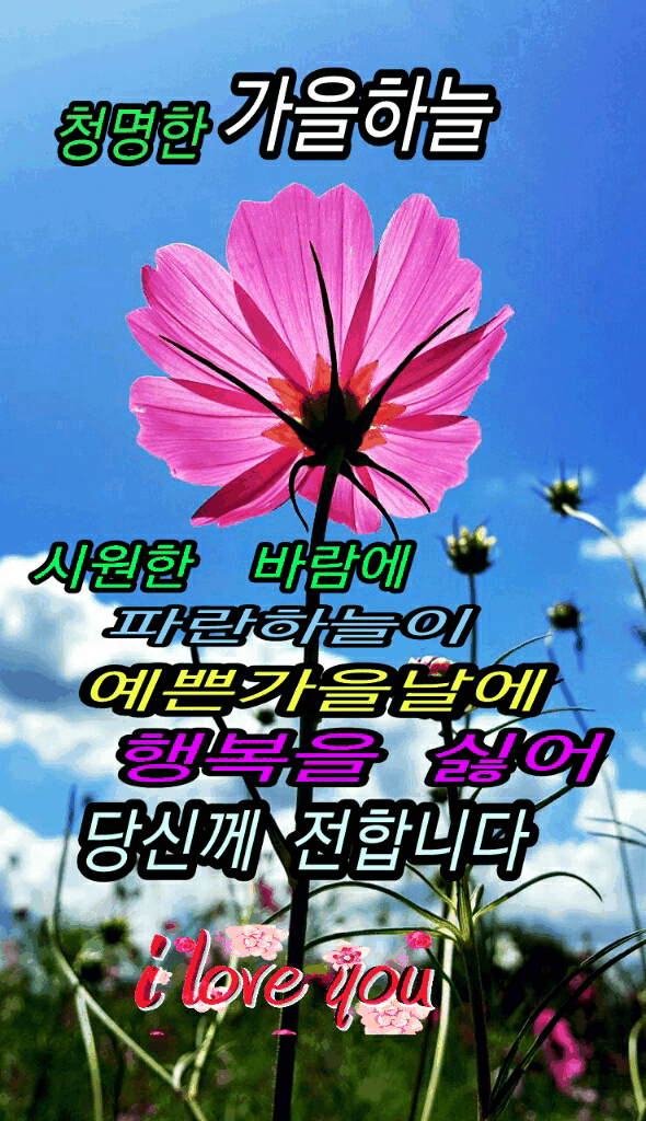 53ba2b185c8f4467bae00509144cdcee_1629340360_1266.gif