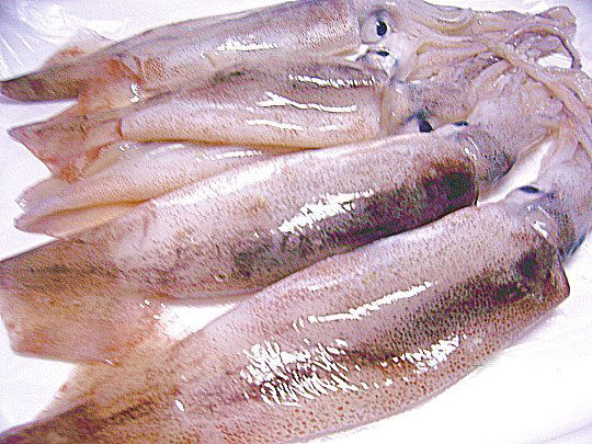 ba1ce40c38ce0abc8d730d73de07a22c_1628154697_4948.jpg