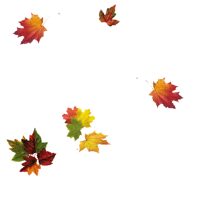 e9093526cea5ce024cbeb4bc6b93c666_1632884136_8456.gif