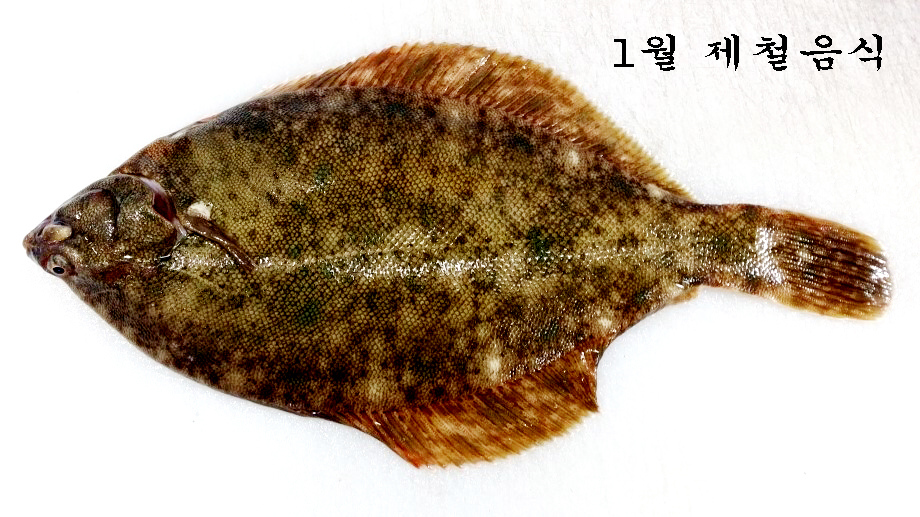 b7545763651c6a76ad728307e285cc4d_1641783031_2226.jpg