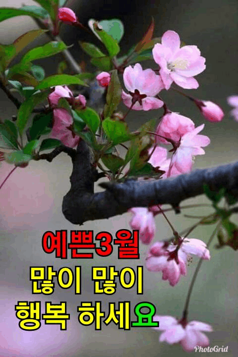 2790bb300e135b45002e58616f8650cc_1646031579_7907.gif
