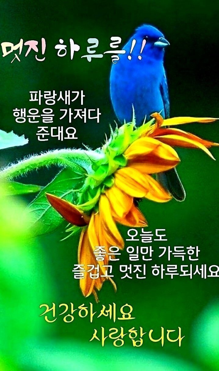 86e2dac723fd4d28ada3f79c8c896bcb_1644819020_6206.jpg