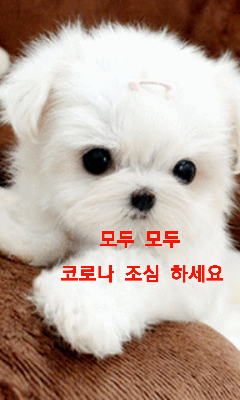 16e3b6fab1e65faba80058922471a736_1647055392_9327.gif