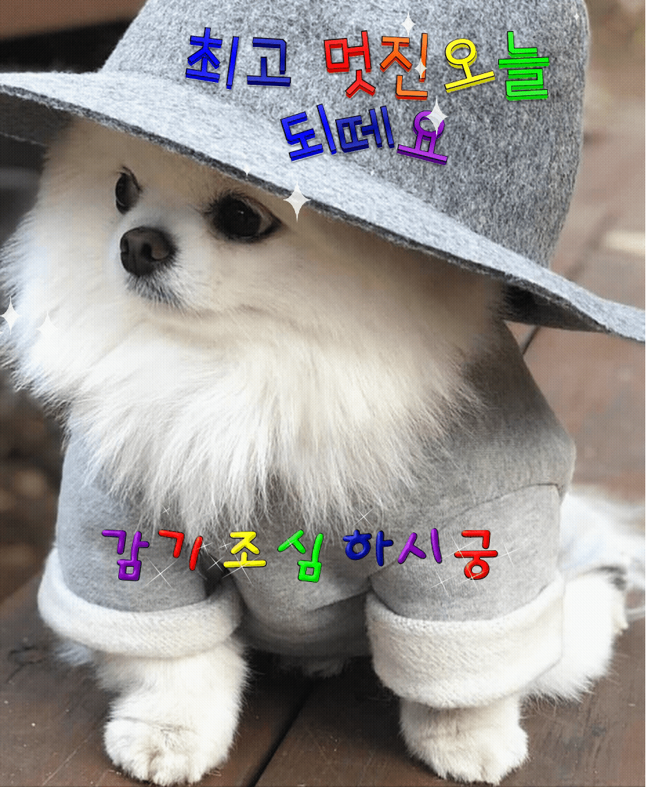 9acc95d242cc047a4d58f4d33931caf1_1647143370_8299.gif