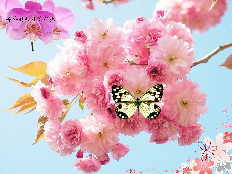 a43d566818fc1bfae913bd11a563f288_1648628934_3417.jpg