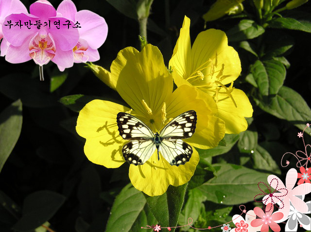 a43d566818fc1bfae913bd11a563f288_1648628967_729.jpg