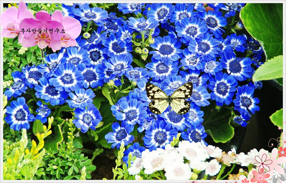 a43d566818fc1bfae913bd11a563f288_1648629018_7724.jpg