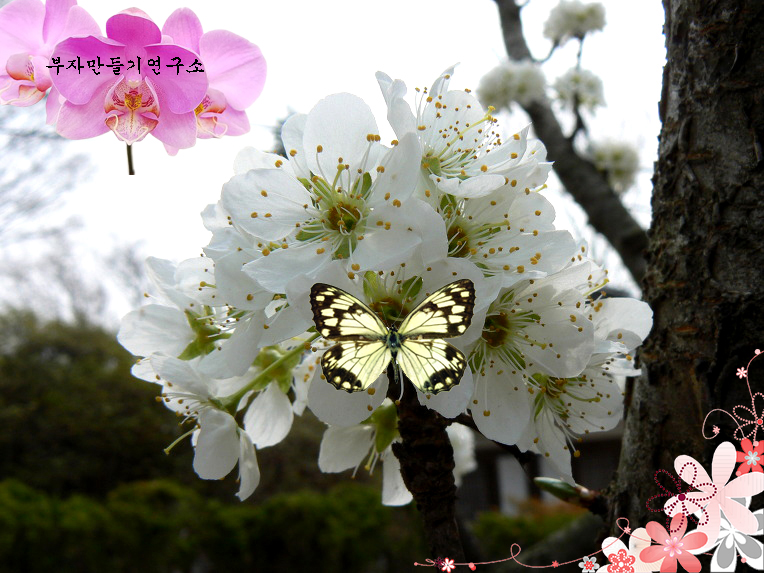 a43d566818fc1bfae913bd11a563f288_1648629093_684.jpg