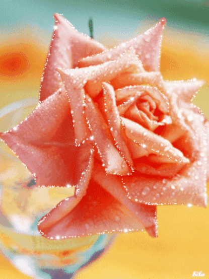 86791d6a997877503f435e2f2a7d1606_1652845839_9326.gif