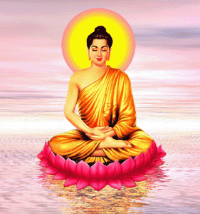 ccf36daab7bf209a319bc1b8781086ee_1651815029_498.gif