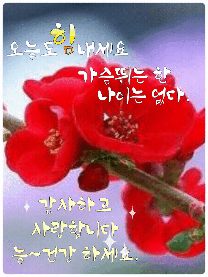 abec49305c49a14ca6d806b0918f03c9_1655775341_7322.gif