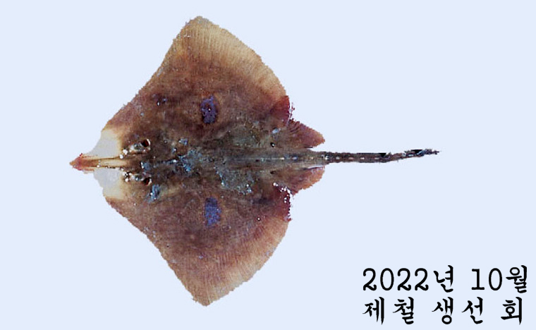 0337406d506bdf909920e384d9939cdf_1664764373_3594.jpg