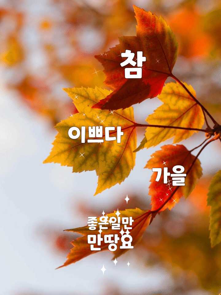 2771bf5adcdaf289a8ec63e60b0800f3_1666149904_155.gif