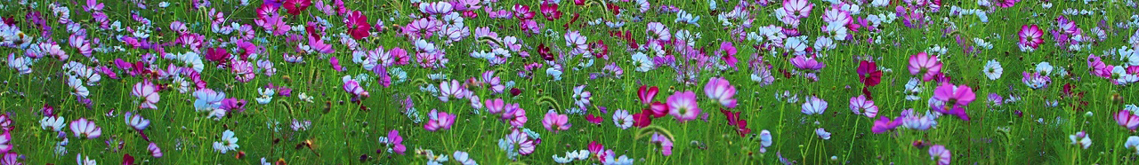 7b96fd19e68db4d0e92c96be6efbdb35_1665799297_2311.png