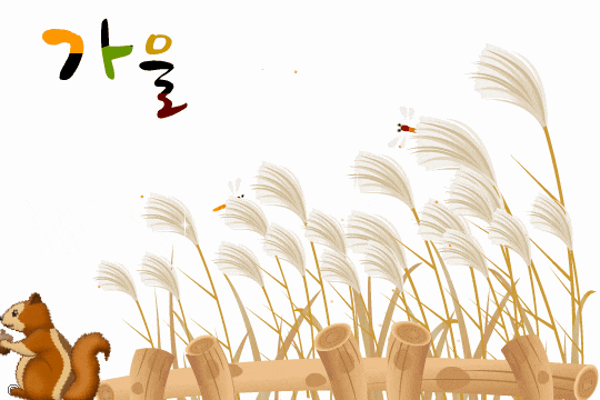 9af26b9f42be861a3e807a3ea1d22491_1667877549_9992.gif