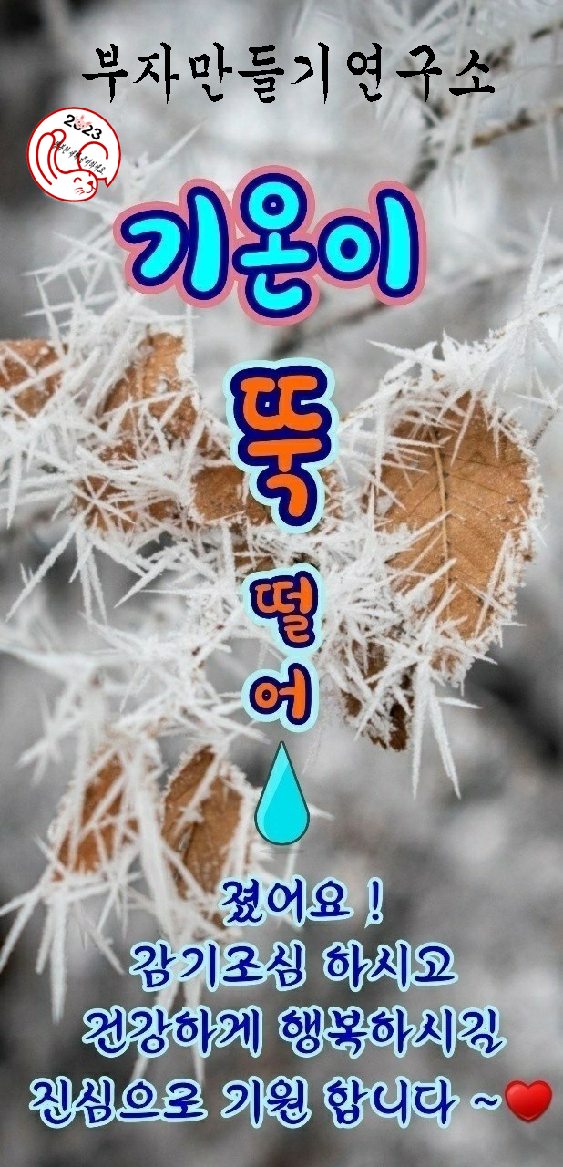 9779c9132528354586910862d0ea34a9_1671248727_2794.jpg