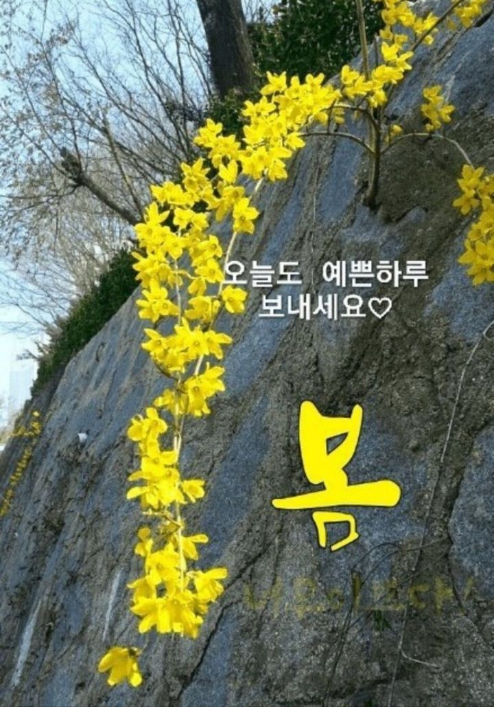 21037be5d1fb0cc1e4af843e354716b5_1679023983_9184.jpg