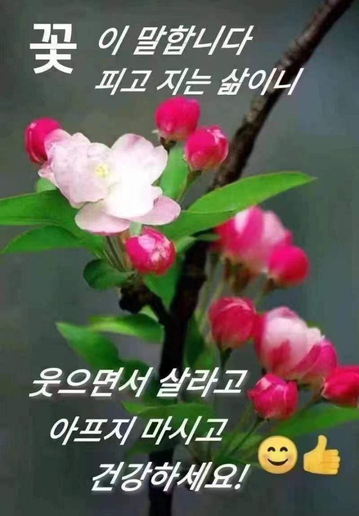 cdd0f9e4aab75f24adf552ec872d8e67_1681534317_6793.jpg