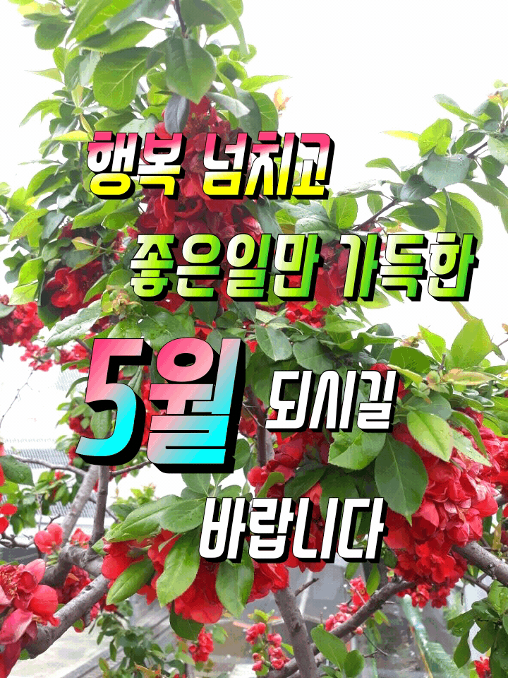 2b19818ddfcf8c97ec67f9f1c2ae6fd1_1682999309_4424.gif
